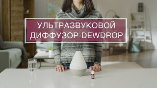 Инструкция по эксплуатации ультразвукового диффузора «Dewdrop» от Young Living  Янг Ливинг Россия [upl. by Ainollopa]