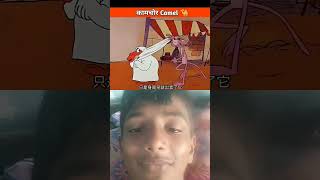 Md raiyan animation camel cartoon factsinhindi subscribe [upl. by Ard]