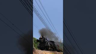 【4K縦動画】C58363 門鉄デフ！秩父鉄道・SLパレオ 樋口ストレート ChichibuRailway Steam locomotive Class C58 quotPALEO EXPRESSquot [upl. by Nigem]