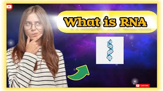 What is RNA ⁉️ Molecule Basic of inheritance  NEET2025 🔥🔥 NCERT line by line [upl. by Blasien602]