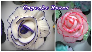 Buttercream rose cupcake tutorial with a color stripe [upl. by Petey674]