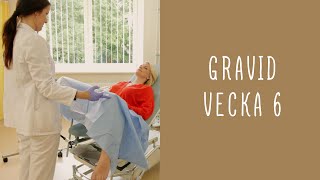 Gravid vecka 6 [upl. by Newo206]