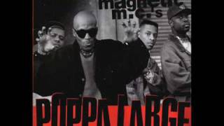 Ultramagnetic MCs  Poppa Large East Coast Mix [upl. by Elkcim]