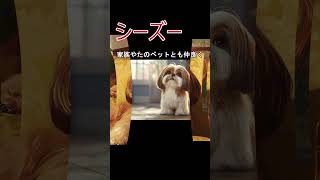 犬の種類シーズーの紹介 [upl. by Milks]