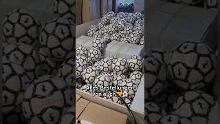 Ich habe 1000 ⚽️ Fußbälle Zuhause 🏠😱 jannikfreestyle [upl. by Aramas33]