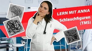 TMS  Der Medizinertest  Schlauchfiguren  Lern mit Anna tms lernenmityoutube schlauchfiguren [upl. by Nywrad]