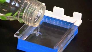 Casting an Agarose Gel [upl. by Willner]