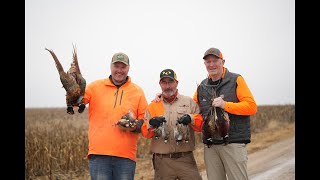 Pheasant amp Quail in Kansas B3 Roadtrip ep4 [upl. by Wei]