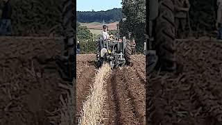 Fordson Model N Tractor at 2024 Southwell Ploughing Match  Saturday 28th September 2024 [upl. by Roumell845]