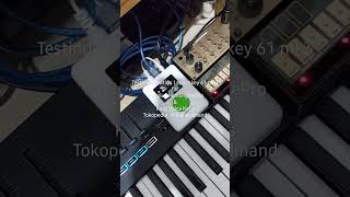 Novation Launchkey 61 mk3 as MIDI controller for Midiplus miniEnginePro and Korg Volca Keys [upl. by Acinorev72]