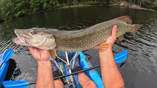 An Epic Day of Fall Fishing on the Androscoggin River [upl. by Intyrb]