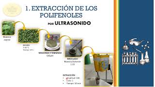 DETERMINACIÓN DE POLIFENOLES TOTALES EN ALIMENTOS POR FOLINCIOCALTEU  CURVA DE CALIBRACIÓN [upl. by Ttegdirb]