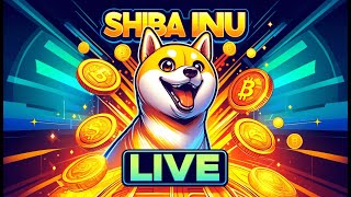 Shiba Inu Live [upl. by Yarased]