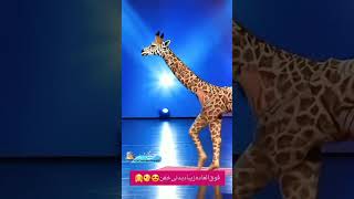 rap magic hiphop shorts human 🚶‍♀️transform into Giraffe🦒 Americas got talent giraffe 🦒🦒🦒 [upl. by Nnaid459]