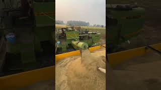 Full loaded trally 👍sidhumoosewala jhonderee combine farmingtractor farming tractor shorts [upl. by Ieluuk176]