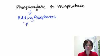 Phosphorylase vs Phosphatase [upl. by Elfont]