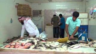 Qunfetha fish market سوق السمك بالقنفذة [upl. by Sutphin]