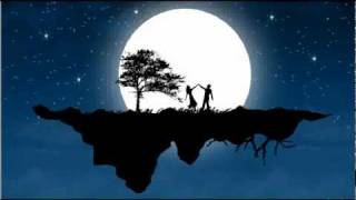 Walking in the MooNLiGhT   HariHaran  VidyaSagar   Audio OnLy [upl. by Eiramanig]