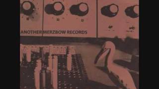 Merzbow  T2000 [upl. by Toille]