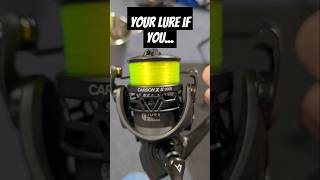 Your lure if you viralshorts viralvideo fishing [upl. by Wakerly]