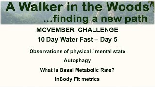 MOVEmber Challenge 10 Day Water Fast Day 5 [upl. by Eckhardt409]