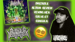 vexing hex  Solve Et Coagula album review weird goth rock from Illinois [upl. by Amrita438]