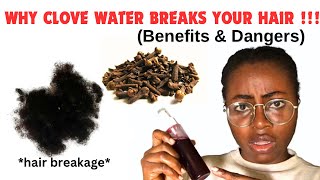 “WHY CLOVES WATER BREAKS YOUR HAIR”l Benefits and Dangers of Cloves for Hair Growth [upl. by Aillicirp]