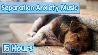 15 HOURS of Deep Separation Anxiety Music for Dog Relaxation Helped 4 Million Dogs Worldwide NEW [upl. by Case]