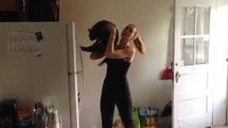 Cat farts while jumping onto fridge [upl. by Rysler]