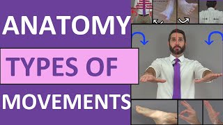 Body Movement Terms Anatomy  Body Planes of Motion  Synovial Joint Movement Terminology [upl. by Eyram]