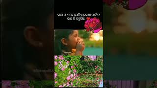 ଭାଇ ଭୋଉଣି ର ସମ୍ପର୍କ ଅମୁଲ୍ୟ love duet subscribe lovesong song lovemusic ❤️♥️❤❤️ [upl. by Yajeet]