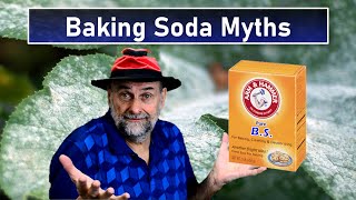 11 Baking Soda Hacks for the Garden  Do They Work [upl. by Pancho365]