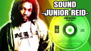 Reggae Mix 344 Culture Brigadier Jerry Burning Spear Junior Reid Mutabaruka [upl. by Skinner]