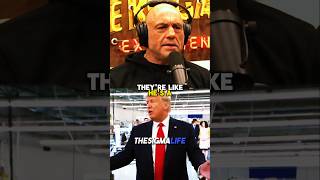 Rogan on Trump’s Response to Lowest Unemployment Rate [upl. by Miof Mela]