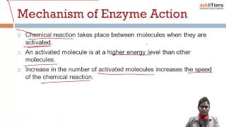 Mechanism of Enzyme Action  Biology  Class 11  AIPMT  AIIMS  askIITians [upl. by Reis872]