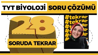 TYT Biyoloji Soru Çözümü  TYT Tekrar [upl. by Cogswell742]