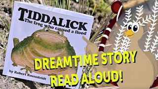 🪃 Tiddalick the frog who caused a flood  Dreamtime story read aloud [upl. by Genie]