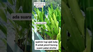 MOMEN SYAHRINI amp SUAMI NGAJAK BABY R JALAN2 DEKAT HOTEL beritaartis syahrini reinobarack [upl. by Iphigenia]