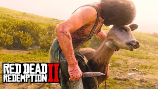 PERDIDO NO FAROESTE 1  COMEÇANDO DO ZERO NO MODO SOBREVIVÊNCIA  Red Dead Redemption 2 [upl. by Breen]