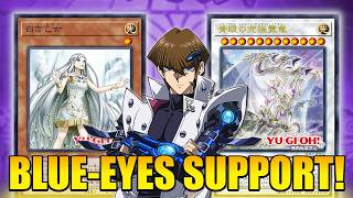 OMNI NEGATE NEW BLUEEYES SUPPORT  YuGiOh [upl. by Enasus]