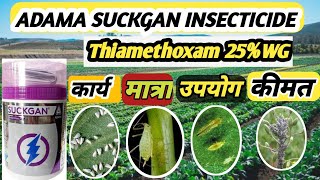 Thiamethoxam 25 WG  Broad Spectrum Insecticide  माहू तेला चुरदा सफेद मक्खी की सबसे अच्छी दवा [upl. by Vergne]