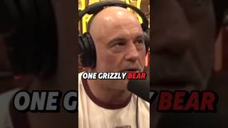 Grizzly Bears SCARY Joe Rogan [upl. by Halima]