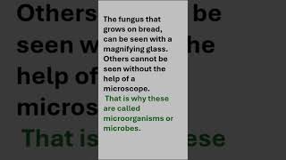 Microorganisms friend and foe  microbes class8science trending cbse ncertscience school 8 [upl. by Aelak170]