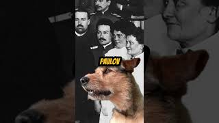 El perro de Pavlov  Experimentos Psicológicos Históricos historia psicologia [upl. by Llenaej]