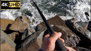 70cm Banjo Shark Caught at Moruya Breakwall  Moruya Fishing 4K [upl. by Aridaj]