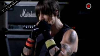 Red Hot Chili Peppers  The Velvet Glove  Live in Chorzów [upl. by Hoye414]