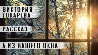 Виктория Токарева Аудиокнига quotА из нашего окнаquot Рассказ Читает Андрей Лукашенко [upl. by Ihcas872]