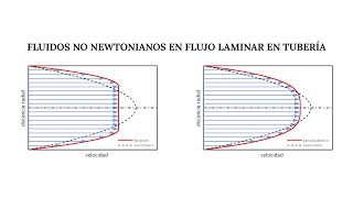 Fluido NO Newtoniano  Experimento  ¡Súper pringoso mestraambclasse [upl. by Samala]