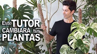 Como fabricar un TUTOR para tus PLANTAS de INTERIOR trepadoras no te lo pierdas te va a servir [upl. by Osher]