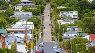 Worlds Steepest Street Dunedin City Ride South Island New Zealand 4K Video [upl. by Beane]